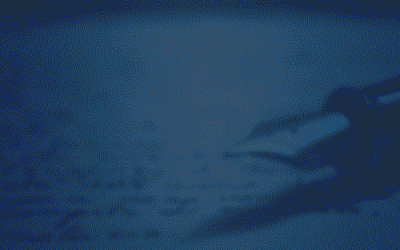 Delia Fiallo: La mujer que encontró en el amor, la armonía y el secreto para entender los sentimientos de una generación