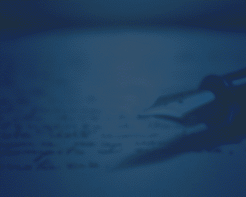 Delia Fiallo: La mujer que encontró en el amor, la armonía y el secreto para entender los sentimientos de una generación